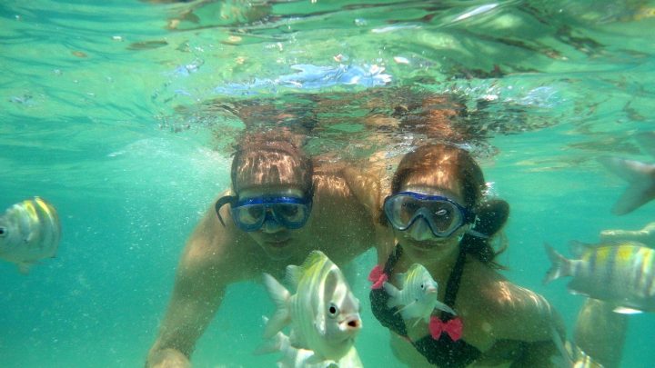 Profesjonalne centrum nurkowe w Marsa Alam dla miłośników podwodnego świata